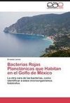 Bacterias Rojas Planctónicas que Habitan en el Golfo de México