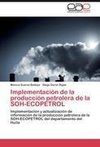 Implementación de la producción petrolera de la SOH-ECOPETROL