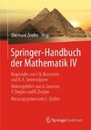 Springer-Handbuch der Mathematik IV