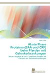 Akute Phase Proteinen(SAA und CRP) beim Pferden mit Gelenkerkrankungen