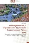 Aménagement de la dépression de Zounvi dans la commune de Porto-Novo