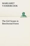 The Girl Scouts in Beechwood Forest