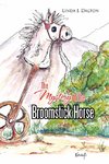 The Mystery of the Broomstick Horse