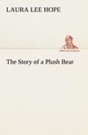 The Story of a Plush Bear