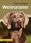 Weimaraner