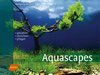 Aquascapes