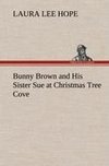 Bunny Brown and His Sister Sue at Christmas Tree Cove