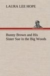 Bunny Brown and His Sister Sue in the Big Woods