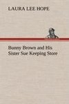 Bunny Brown and His Sister Sue Keeping Store