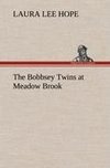 The Bobbsey Twins at Meadow Brook