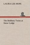 The Bobbsey Twins at Snow Lodge