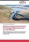 Historia deposicional de la Formación Mexcala en el sur de México