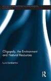 Oligopoly, the Environment and Natural Resources