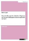 Kann das Konzept der zirkulären Migration als ein Entwicklungsinstrument angesehen werden?