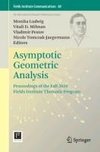 Asymptotic Geometric Analysis