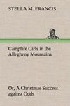 Campfire Girls in the Allegheny Mountains or, A Christmas Success against Odds