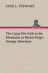 The Camp Fire Girls in the Mountains or Bessie King's Strange Adventure