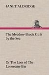 The Meadow-Brook Girls by the Sea Or The Loss of The Lonesome Bar