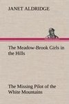 The Meadow-Brook Girls in the Hills The Missing Pilot of the White Mountains