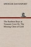 The Rushton Boys at Treasure Cove Or, The Missing Chest of Gold