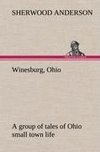 Winesburg, Ohio; a group of tales of Ohio small town life