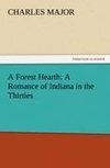 A Forest Hearth: A Romance of Indiana in the Thirties