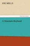 A Mountain Boyhood