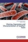 Cloning, Expression and Characterization of Cyt2Aa1 Toxin