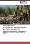 Raquitismo de los retoños en caña de Azúcar