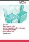 Desarrollo de amortiguación térmica en termoplásticos elastómeros