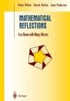 Mathematical Reflections