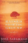 Raised from the Ground