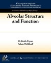 Alveolar Structure and Function