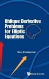 Oblique Derivative Problems for Elliptic Equations