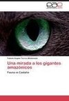 Una mirada a los gigantes amazónicos