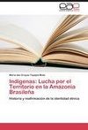 Indígenas: Lucha por el Territorio en la Amazonia Brasileña