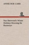 Nan Sherwood's Winter Holidays Rescuing the Runaways