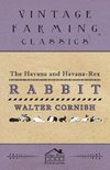 The Havana and Havana-Rex Rabbit