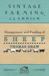 Management and Feeding of Sheep