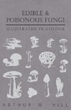 Edible and Poisonous Fungi - Illustrated in Colour