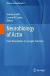 Neurobiology of Actin