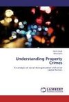 Understanding Property Crimes