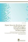 Open Source Analyse von mehrphasigen, kompressiblen Strömungen