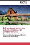 Extracción de semen en caballos mediante el colector cervical