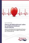 Efecto del Hidroxitirosol sobre la cardiotoxicidad por Doxorubicina