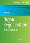 Organ Regeneration