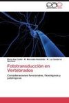 Fototransducción en Vertebrados