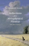 Reflections of a Metaphysical Flaneur