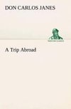 A Trip Abroad