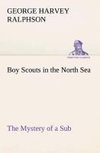 Boy Scouts in the North Sea The Mystery of a Sub